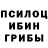 Галлюциногенные грибы MAGIC MUSHROOMS Xurshida Gafurova
