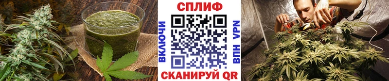 как найти закладки Мариинск блэк спрут зеркало Cannafood марихуана